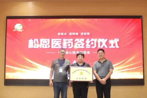 大宇云客户案例：助力松恩医药搭建混合云电商架构，支撑医药零售线上化转型