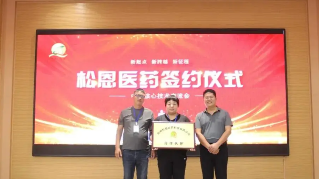 大宇云客户案例:助力松恩医药搭建混合云电商架构,支撑医药零售线上化转型
